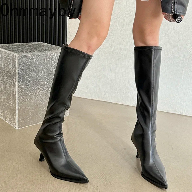 pantsparadises Soft Leather Pointed Toe Knee High Boots High Heels Zipper Women Pumps Ladies Long Stretch Modern Boots