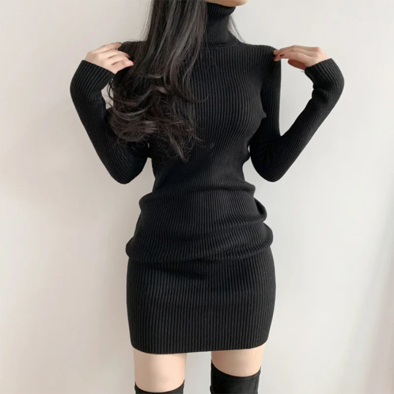 pantsparadises trashy outfits Women Autumn Winter Turtleneck Warm Bodycon Dress Long Sleeve Knit Solid Office Pullover Sexy Mini Dress for Ladies