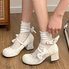 pantsparadises High heeled Mary Jane shoes Women New French Velvet Thick Heel Pumps Female Square Heel Single Shoes White Party Sandals