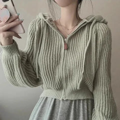 pantsparadises Women Long Sleeve Sweater Korean Style Casual Outerwear Woman Fashion Chic Zip Up Cardigan Knit Top Female Hooded Jumper