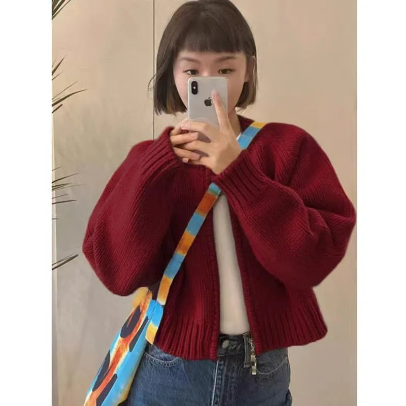 pantsparadises Korean Women Knitted Sweater Autumn Winter Chic Loose Long Sleeve Cardigan Tops Simple Solid Color Sweater Jacket