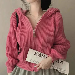 pantsparadises Women Long Sleeve Sweater Korean Style Casual Outerwear Woman Fashion Chic Zip Up Cardigan Knit Top Female Hooded Jumper